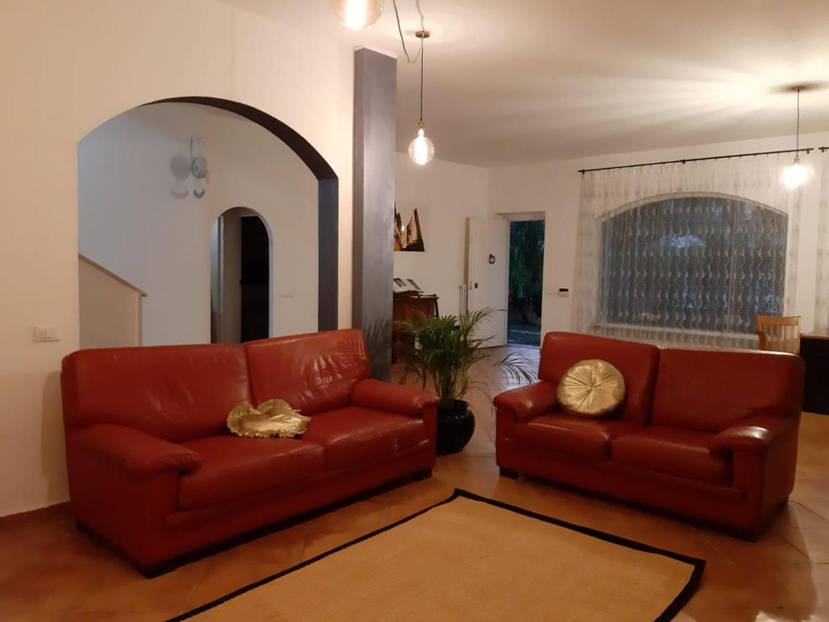 B&B Sofia 피우미치노 외부 사진